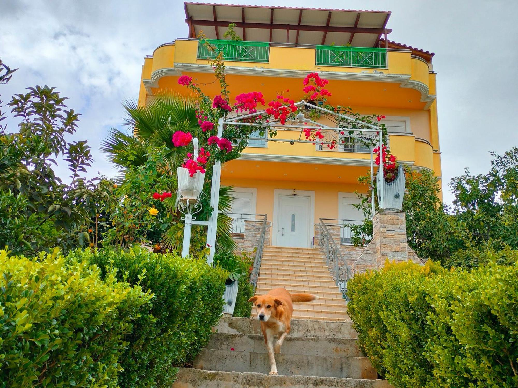 House With Wonderful View Apartment เลฟคานดิ คาลคิดาส ภายนอก รูปภาพ